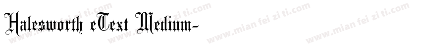 Halesworth eText Medium字体转换